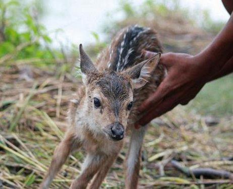 Bangladeşli Bilal'den insanlık dersi