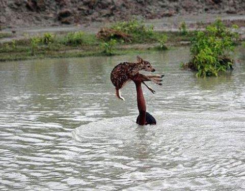 Bangladeşli Bilal'den insanlık dersi