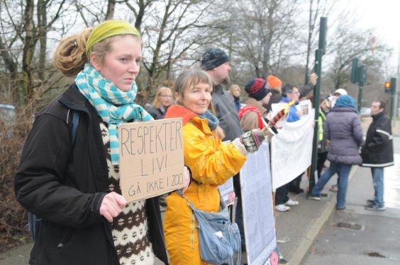 Kopenhag'da 18 aylık zürafa  Marius kesildi