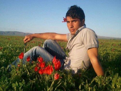 Sosyal medyanın zalımları