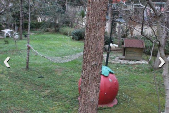 Kıvanç Tatlıtuğ evini boşalttı