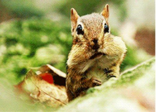 Hayatınızda en az bir kere karşılaşacağınız insan tipleri