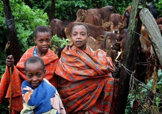 Doğu Afrika'nın Maasai kabilesi geleneklerini sürdürüyor