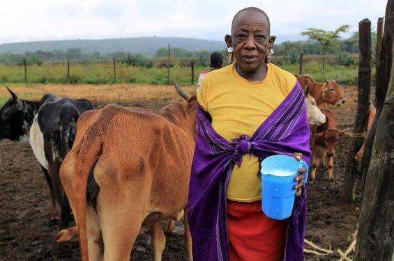 Doğu Afrika'nın Maasai kabilesi geleneklerini sürdürüyor