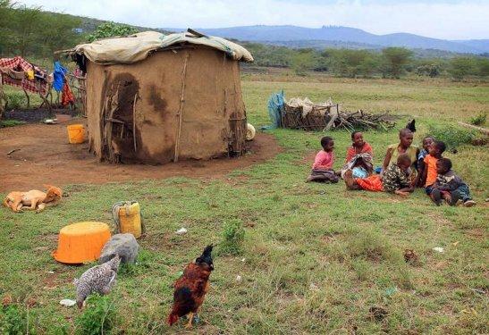 Doğu Afrika'nın Maasai kabilesi geleneklerini sürdürüyor