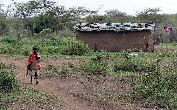 Doğu Afrika'nın Maasai kabilesi geleneklerini sürdürüyor