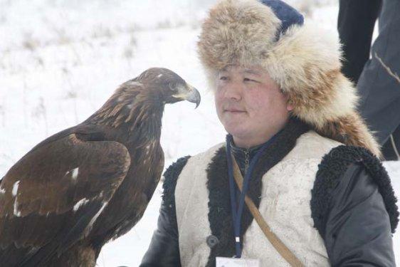 Kartalların nefes kesen tilki avı