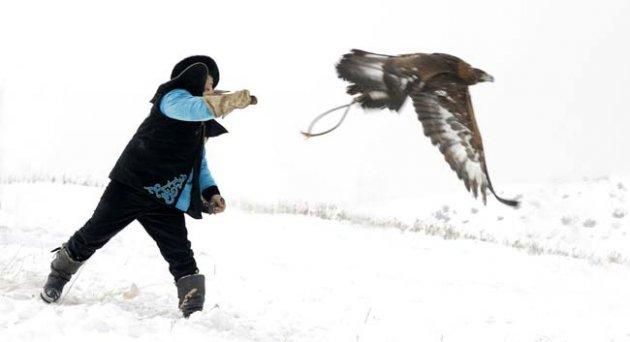 Kartalların nefes kesen tilki avı