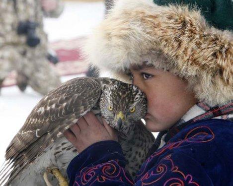 Kartalların nefes kesen tilki avı