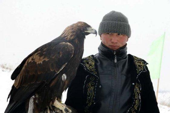 Kartalların nefes kesen tilki avı