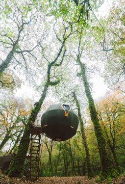 İngiltere'nin ilk ağaç ev oteli büyük talep görüyor