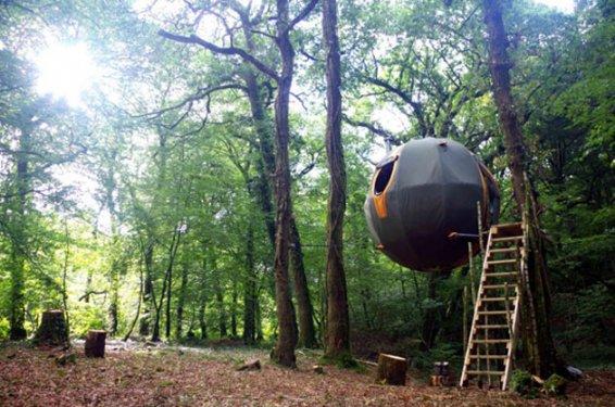 İngiltere'nin ilk ağaç ev oteli büyük talep görüyor