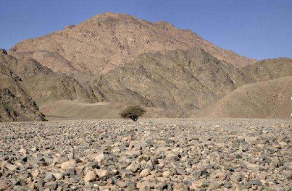 Çölün ortasındaki sinema uydudan bulundu