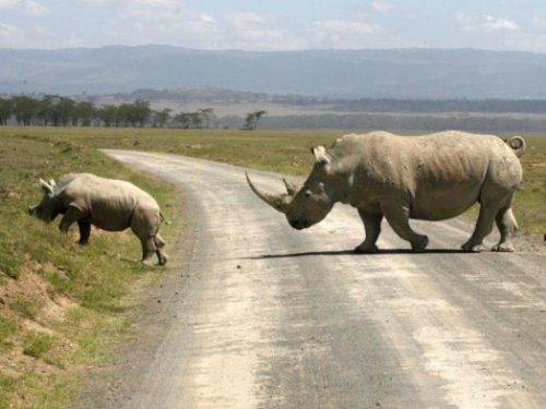 Dünyanın en tehlikeli yolları