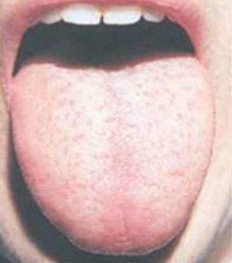 Organlarımız ne kadar sürede kendini yeniler