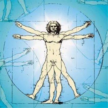 Organlarımız ne kadar sürede kendini yeniler