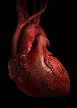 Organlarımız ne kadar sürede kendini yeniler