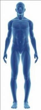 Organlarımız ne kadar sürede kendini yeniler