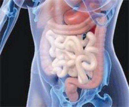 Organlarımız ne kadar sürede kendini yeniler