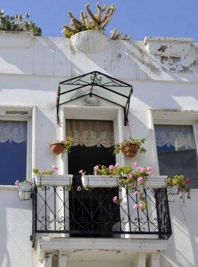 Bodrum evlerinin mavi beyaz sırrı 