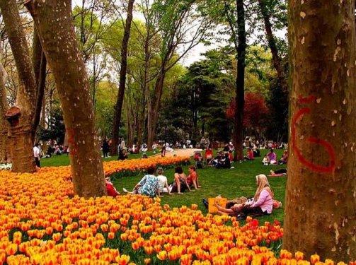 İstanbul'da yapılması gereken 20 şey