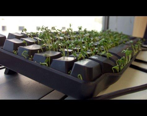 En çok yapılan 1 Nisan şakaları