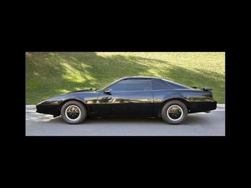 Kara Şimşek açık artırmada