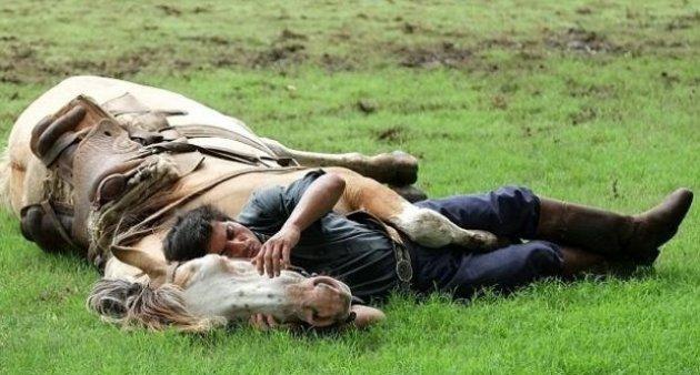 Martin Tatta atların kulağına fısıldayarak onlarla oyun oynuyor