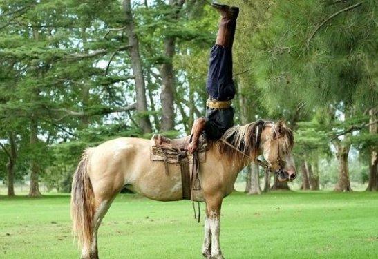 Martin Tatta atların kulağına fısıldayarak onlarla oyun oynuyor