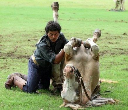 Martin Tatta atların kulağına fısıldayarak onlarla oyun oynuyor
