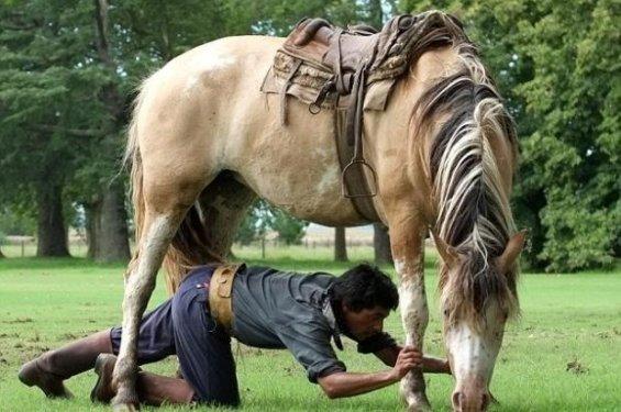 Martin Tatta atların kulağına fısıldayarak onlarla oyun oynuyor