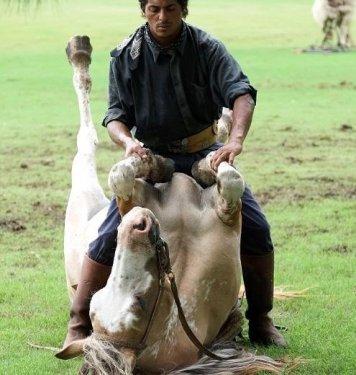 Martin Tatta atların kulağına fısıldayarak onlarla oyun oynuyor