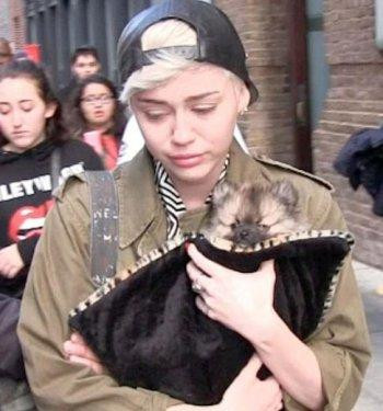 Miley Cyrus‘ın kalbi tekledi - Resim 3