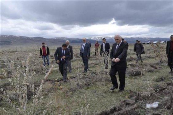 Hatıra ormanının halini gören vali çileden çıktı