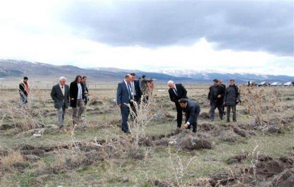 Hatıra ormanının halini gören vali çileden çıktı