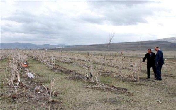 Hatıra ormanının halini gören vali çileden çıktı