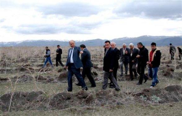 Hatıra ormanının halini gören vali çileden çıktı