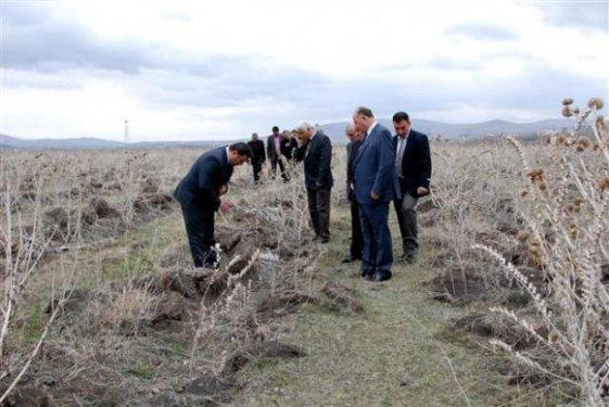 Hatıra ormanının halini gören vali çileden çıktı