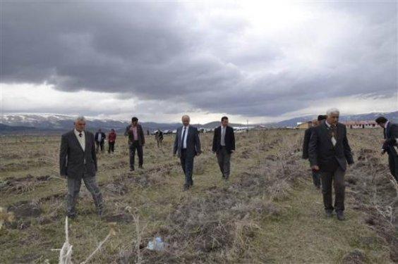 Hatıra ormanının halini gören vali çileden çıktı