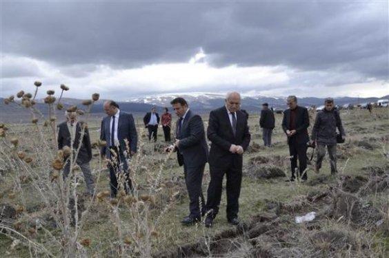 Hatıra ormanının halini gören vali çileden çıktı