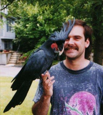 Dünyanın en ilginç ve en pahalı  evcil hayvanları