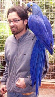 Dünyanın en ilginç ve en pahalı  evcil hayvanları