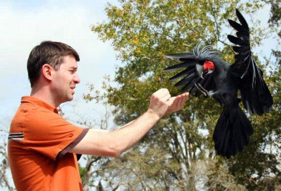 Dünyanın en ilginç ve en pahalı  evcil hayvanları