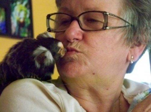 Dünyanın en ilginç ve en pahalı  evcil hayvanları