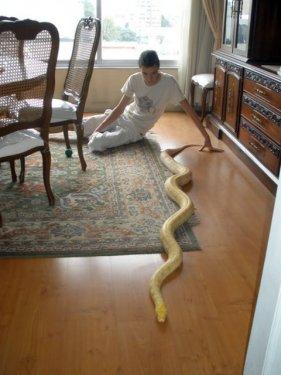 Dünyanın en ilginç ve en pahalı  evcil hayvanları