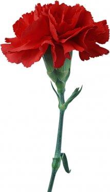 Bilmediğiniz 12 ilginç gelenek 