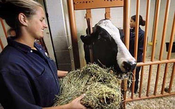 İşte dünyanın en zor meslekleri 