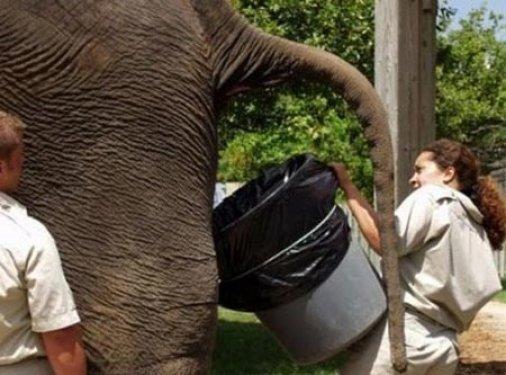 İşte dünyanın en zor meslekleri 