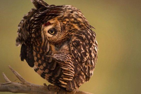 26'ncı kez düzenlenen National Geographic fotoğraf yarışması başladı