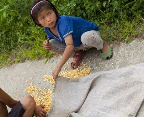 Dünyanın en otoriter ülkelerinden olan Kuzey Kore halkı 